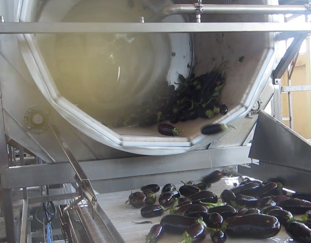 Originale Bush A146CDB, N146CA2, N12CR6 Lavatrice Tamburo Pagaia - Foto 9