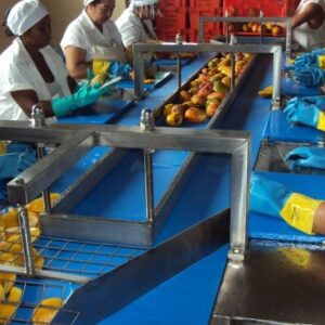 Nastro di monda - NM1 (a 1 nastro)